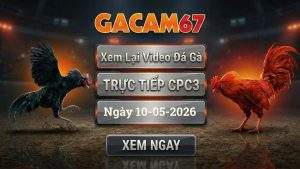 Xem Lại Video Đá Gà CPC3 Ngày 10/05/2026