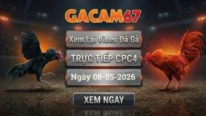 Xem Lại Video Đá Gà CPC4 Ngày 08/05/2026