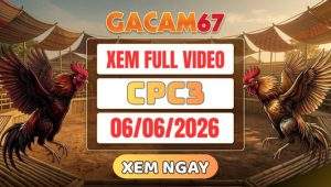 Xem Full Video Đá Gà CPC3 Ngày 6/6/2026 tại GACAM67