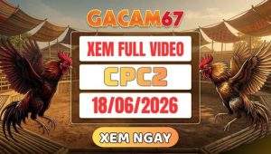 Xem Lại Video Đá Gà CPC2 Ngày 18/06/2026 Tại GACAM67